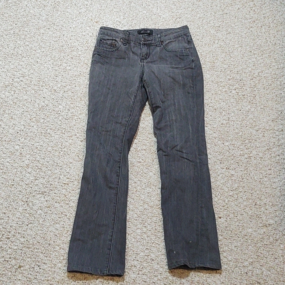Seven7 Grey Wash Skinny Jeans with Embroidered Pockets Sz 2